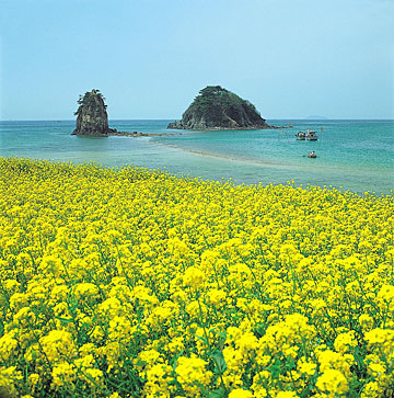 Hình bài viết Kỳ thú đảo Jeju