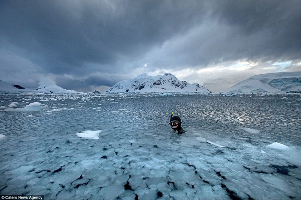 Hình bài viết Trải nghiệm dưới làn nước -2 độ C ở Nam Cực