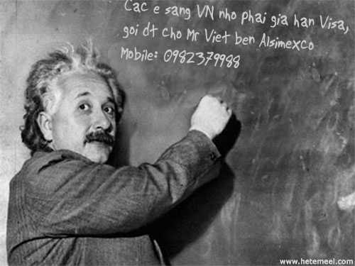 Hình ảnh Vietmit & Einstein - Việt Nam