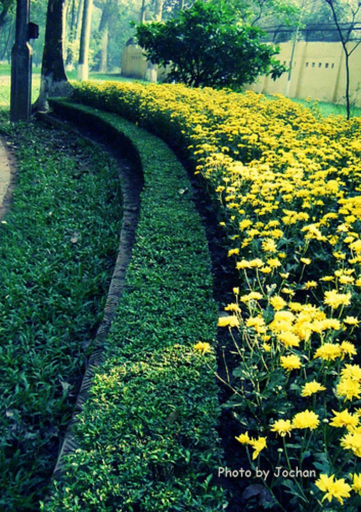 Hình ảnh Hoa trong vuon - by ongvove1712.jpg - Vườn Bách Thảo