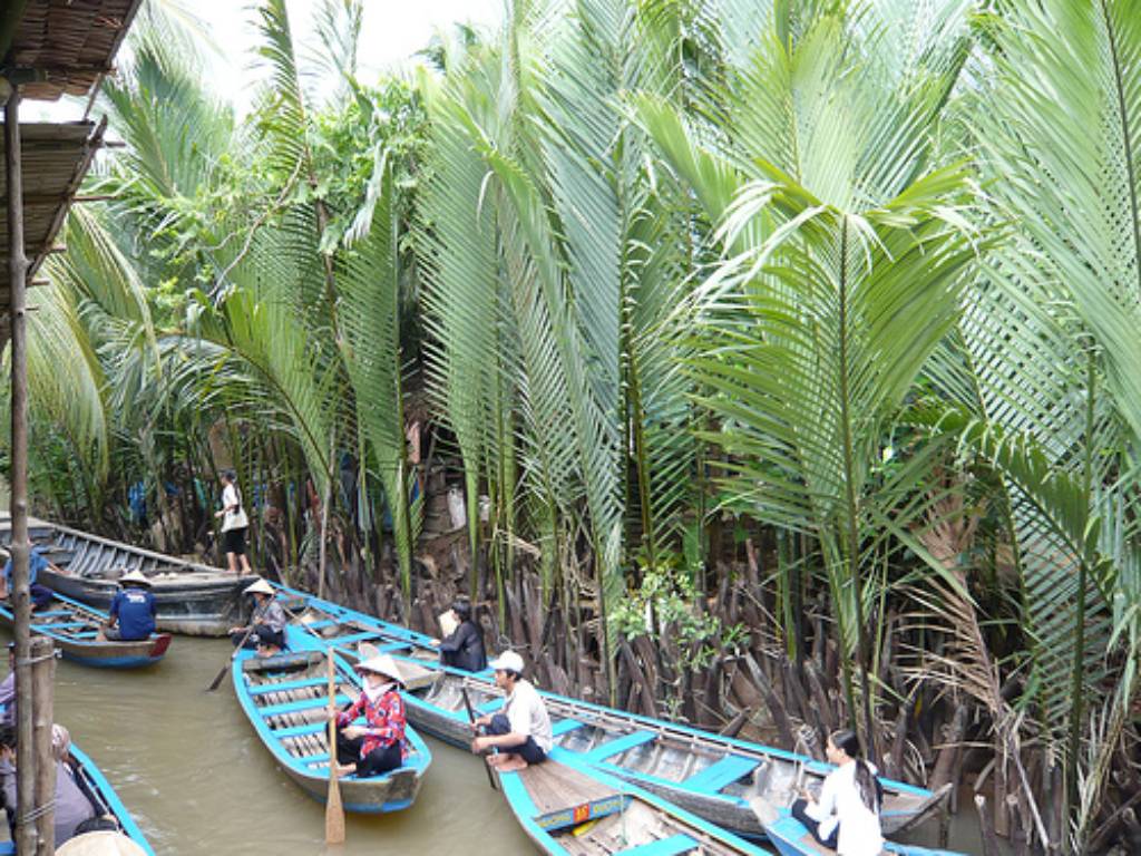 Hình ảnh Chèo thuyền tại cù lao Thới Sơn - Cù lao Thới Sơn