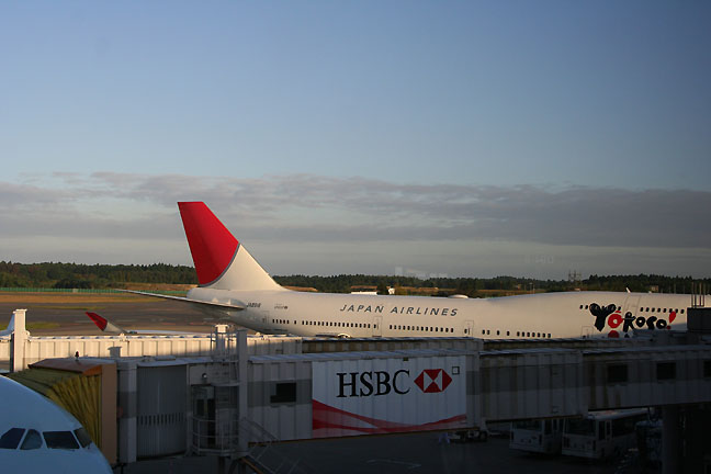 Hình ảnh Máy bay hạ cánh tại sân bay Narita - Sân bay quốc tế Narita