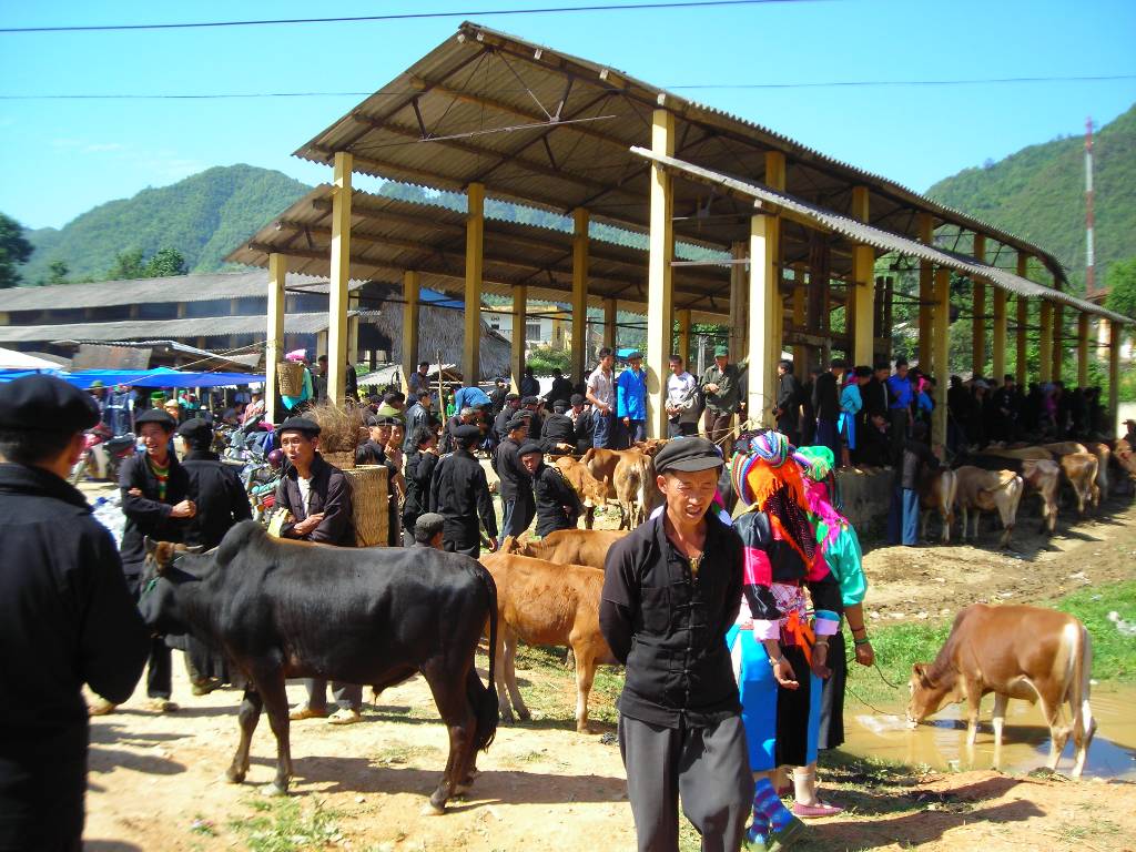 Hình ảnh Phiên chợ gia súc  - Thung lũng Phó Bảng