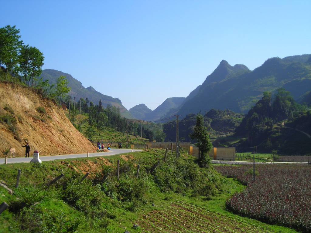 Hình ảnh Đường vào thị trấn Phó Bảng - Thung lũng Phó Bảng