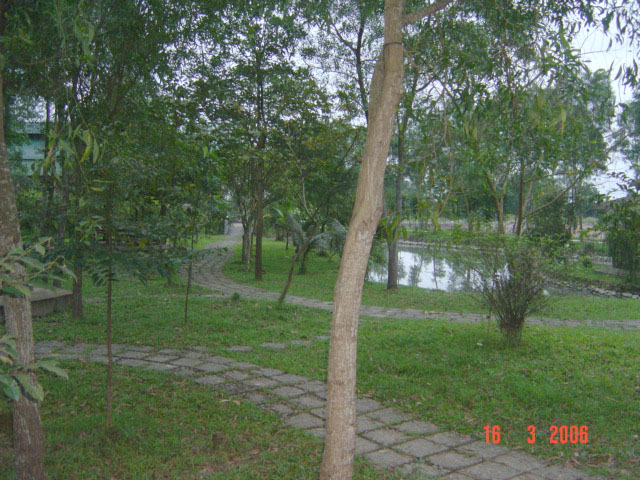 Hình ảnh Khu vườn ươm cây thuốc trong khu Resort. - Suối nước khoáng nóng Thanh Tân