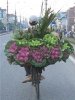 Hình ảnh Anh 2 - Chợ hoa đêm Quảng An