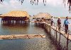 Hình ảnh sinhthaiquangcu - Bãi biển Sầm Sơn
