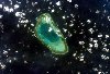 Hình ảnh Đảo Bạch Quy - Đảo Bạch Quy