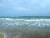 Hình ảnh Sóng biển Phan Thiết - Chụp tại Bãi biển Đồi Dương - Đồi Dương