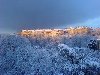 Hình ảnh Rừng cây ngoại thành thành phố Geneva mùa tuyết phủ - Geneva