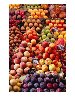 Hình ảnh Trái cây tại Chợ La boqueria - Chợ La Boqueria