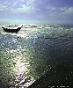 Hình ảnh Biển sáng Sầm Sơn - Bãi biển Sầm Sơn
