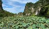 Hình ảnh Danh thắng Tràng An-thành Nam của cố đô Hoa Lư - Khu du lịch sinh thái Tràng An