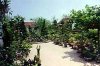 Hình ảnh Làng vườn Bách Thuận - Làng vườn Bách Thuận