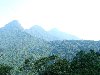 Hình ảnh Vườn quốc gia Tam Đảo - Vườn quốc gia Tam Đảo