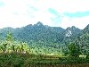 Hình ảnh Vườn quốc gia Xuân Sơn - Vườn quốc gia Xuân Sơn