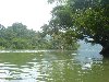 Hình ảnh Hồ Ba Bể - Hồ Ba Bể