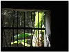 Hình ảnh Nhà tù Côn Đảo 2 - Nhà tù Côn Đảo