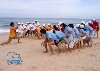Hình ảnh Vietsea Teambuilding - Beach.jpg - Vịnh Hạ Long