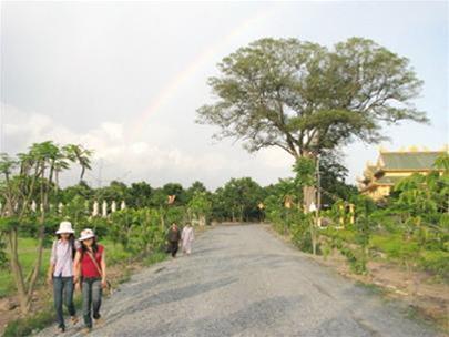 Hình ảnh Váº¡n Pháº­t Quang Ä�áº¡i TÃ²ng LÃ¢m tá»±3 - Vạn Phật Quang Đại Tòng Lâm tự