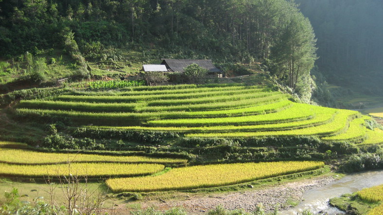 Hình ảnh img_0690 - Mù Cang Chải