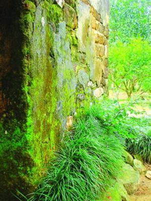 Hình ảnh Dai binhs - Làng cổ Đại Bình