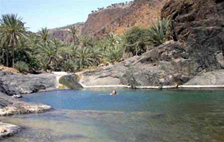 Hình ảnh Anh 2 - Socotra