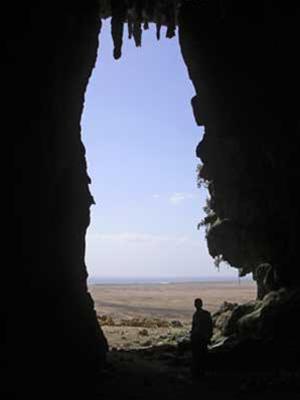 Hình ảnh Anh 3 - Socotra