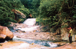 Hình ảnh Hinh 3 - Thác Dray Kpơr