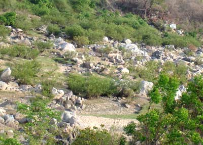 Hình ảnh anh 1 - Krông Pa