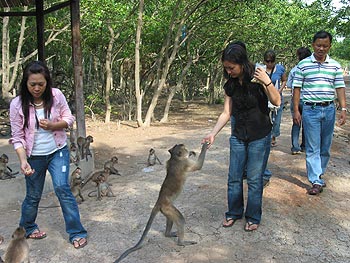 Hình ảnh Du khach vui choi tai Dao Khi.jpg - Khu Du lịch sinh thái Cần Giờ