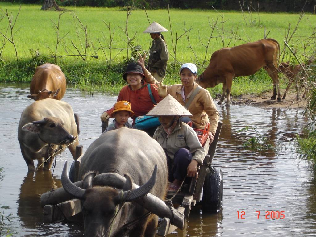 Hình ảnh Krong Bong - Đăk Lăk
