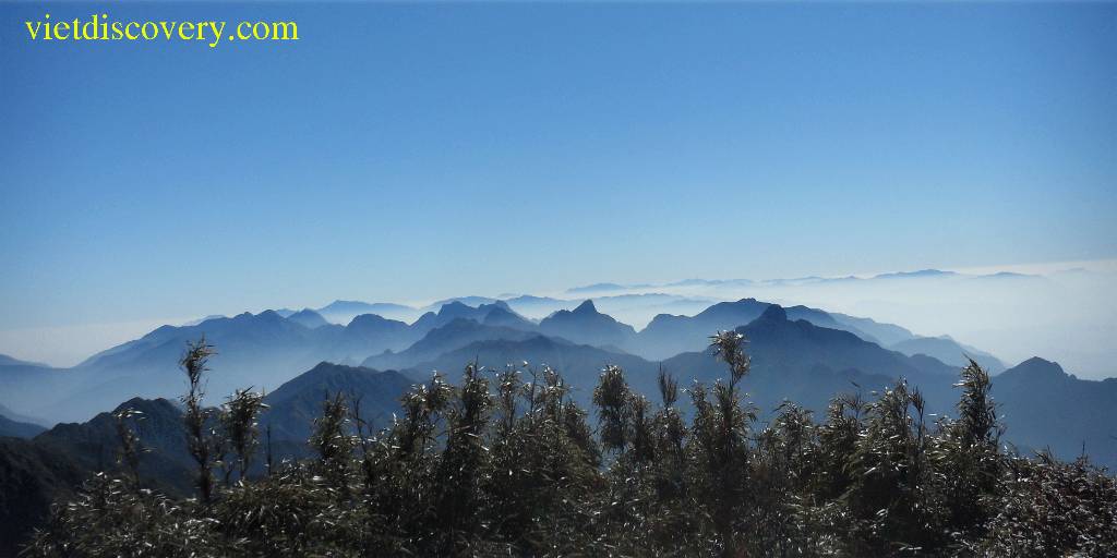 Hình ảnh canh fansipan - Sapa