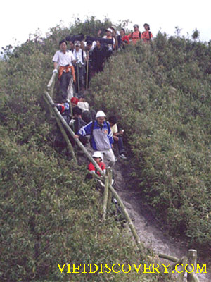 Hình ảnh duong di fan sipan - Sapa