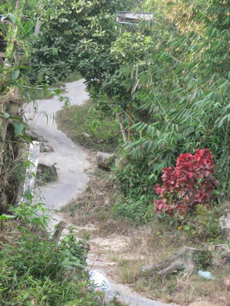Hình ảnh duong len dien bo hong 2 - An Giang