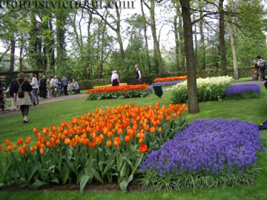 Hình ảnh Huetourist _ Ha Lan (1) - Hà Lan