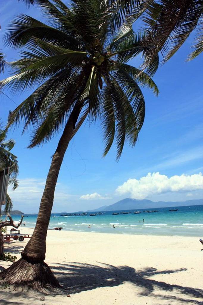 Hình ảnh BienDocLet1 - Nha Trang