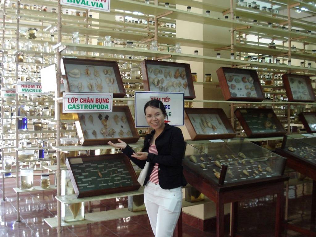Hình ảnh Tham quan Viện hải dương học - Viện Hải Dương Học