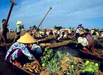 Hình ảnh chonoiphongdien - Chợ nổi Phong Điền