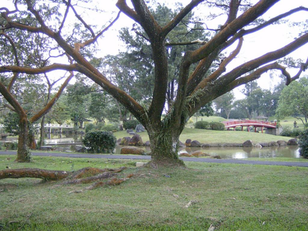 Hình ảnh Japanese Garden  2 Bysftrajan