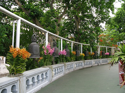 Hình ảnh Đường lên Golden mount.jpg - Golden Mount