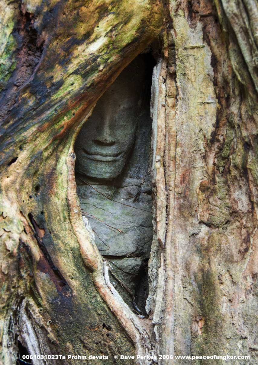 Hình ảnh Ta-ProhmDevata.jpg - Ta Prohm