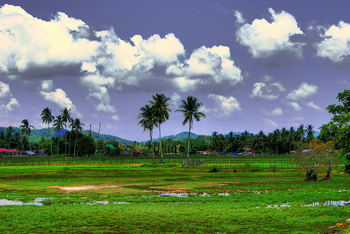 Hình ảnh kedawang.jpg - Langkawi