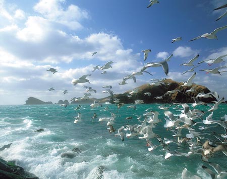 Hình ảnh Đảo Jeju nhìn từ ngoài biển - Jeju