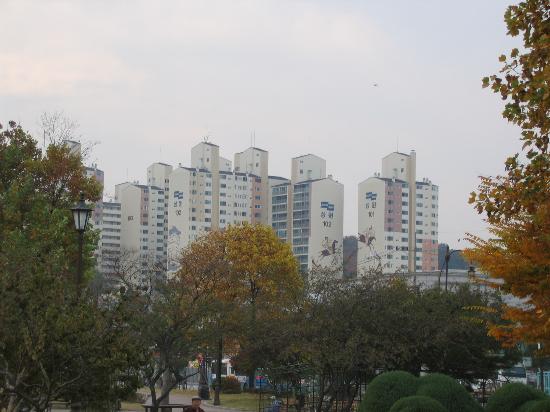 Hình ảnh Thành phố sáng sớm - Suwon