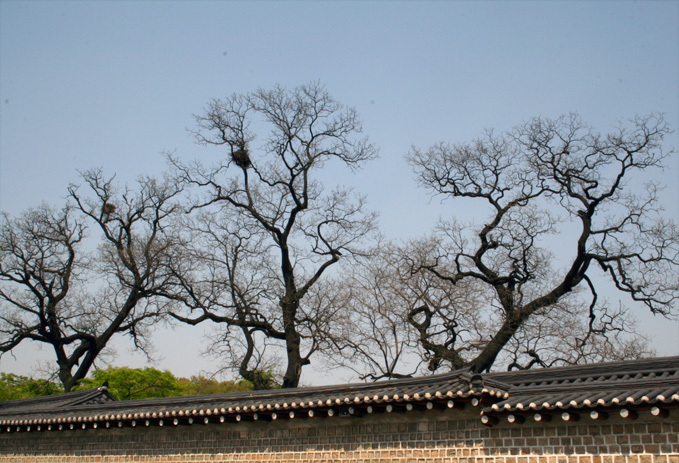 Hình ảnh Bên bờ sông Hàn - Sông Seul