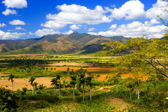 Hình ảnh Nông thôn Cuba - Cuba