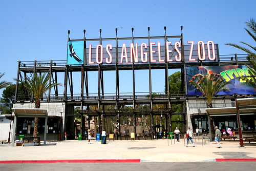 Hình ảnh 766033183_5f586e348d.jpg - Sở thú Los Angeles