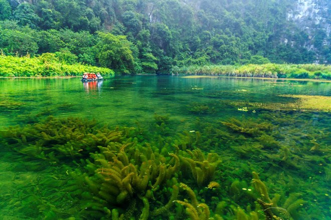 Hình bài viết Mùa thu trên dòng Ngô Đồng xanh thẳm