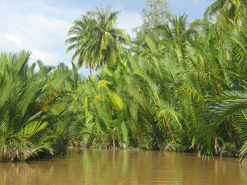 Hình ảnh Cù lao Thới Sơn - Tiền Giang